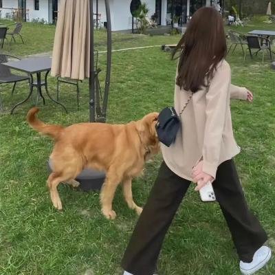 青春正步走